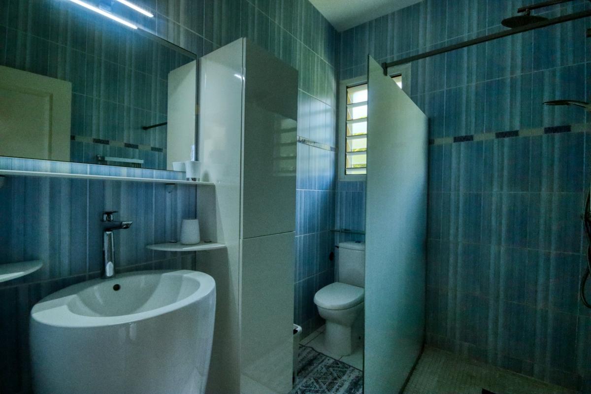Location villa Martinique Sainte Luce Salle douche 1